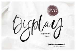 Display and The Display Signature: A Modern Typography Solution